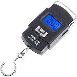 portable electric scale