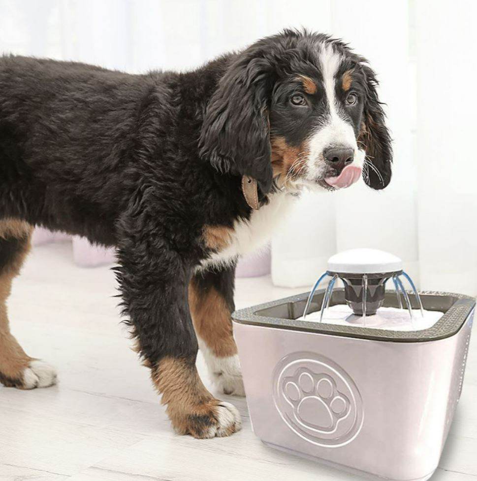 Paw Perfect Pet Water Fountain Paw Perfect Pet Water Fountain - Image 6
