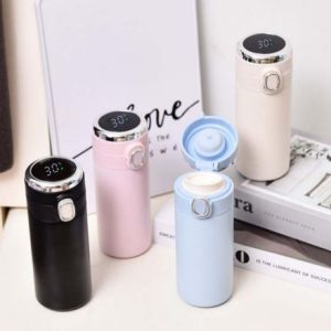 water bottle with intelligent temperature indicator (420ml)