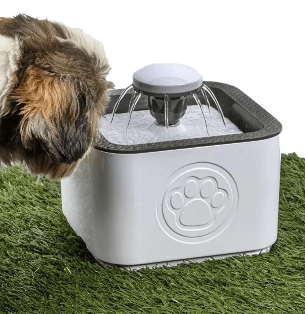 Paw Perfect Pet Water Fountain Paw Perfect Pet Water Fountain - Image 4