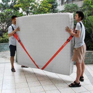 heavy duty moving strap system