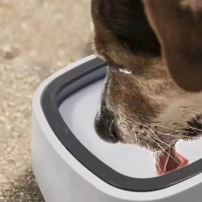 splash free pet water bowl splash free pet water bowl