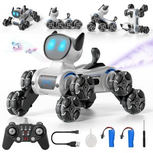 rc robot dog