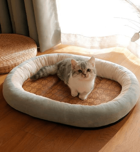 cool touch pet bed cool touch pet bed