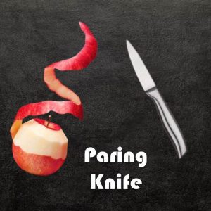 professional kitchen paring knife (ultra sharp range)