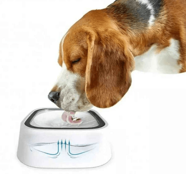 splash free pet water bowl splash free pet water bowl