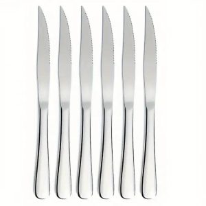 Stainless Steel Steak Knife Set (6 pcs)
