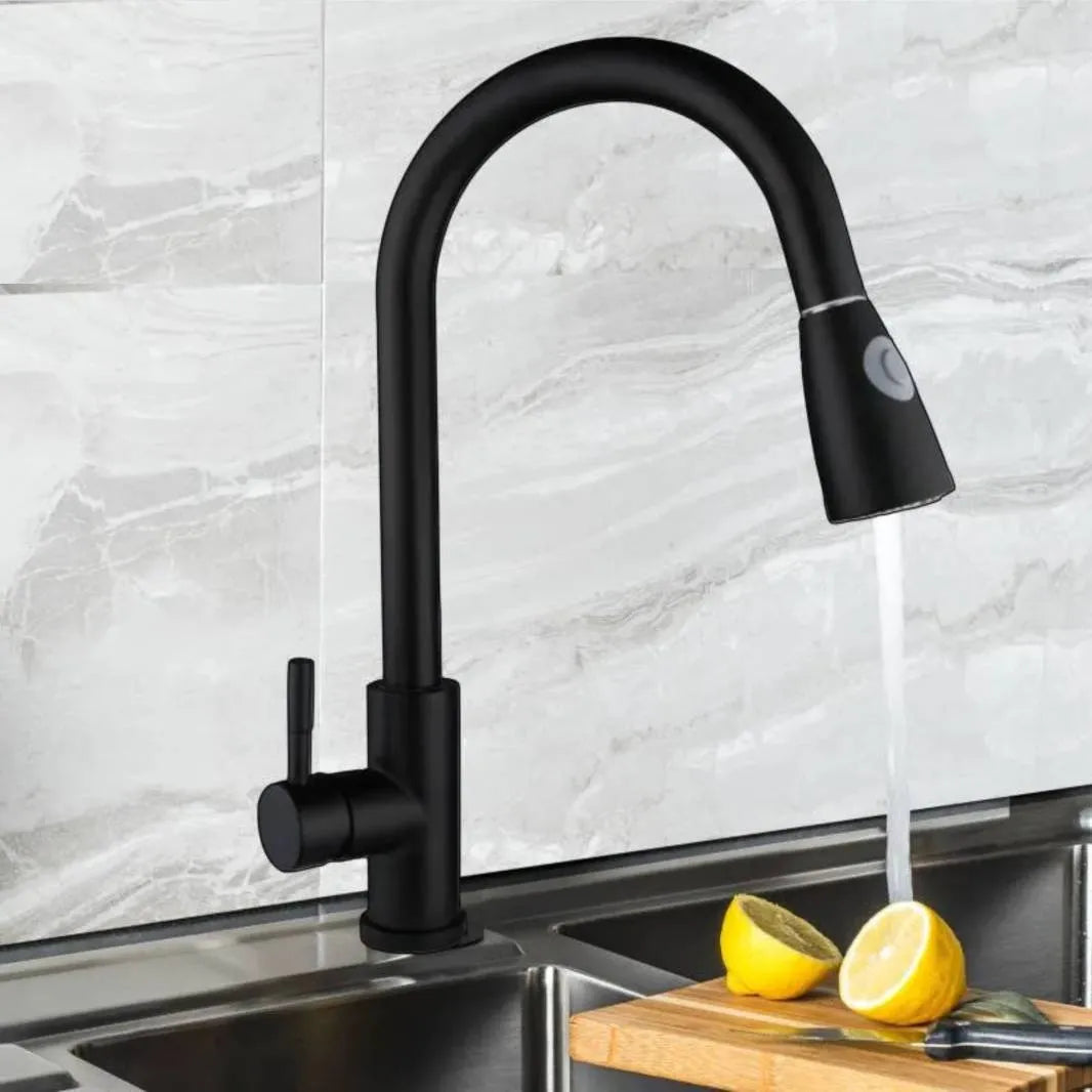 matte pull down kitchen faucet matte pull down kitchen faucet