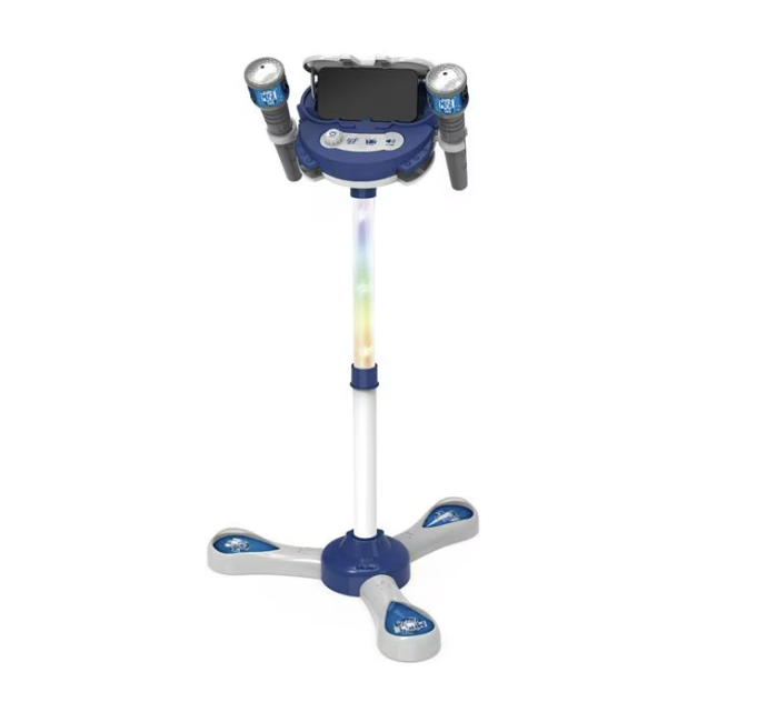 music party microphone set