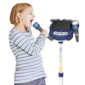 music party microphone set