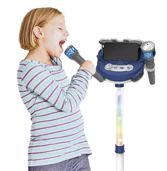 music party microphone set