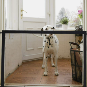 ingenious child pet safety mesh gate