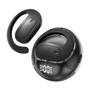 headphones with hanging earbuds (2 earpieces)