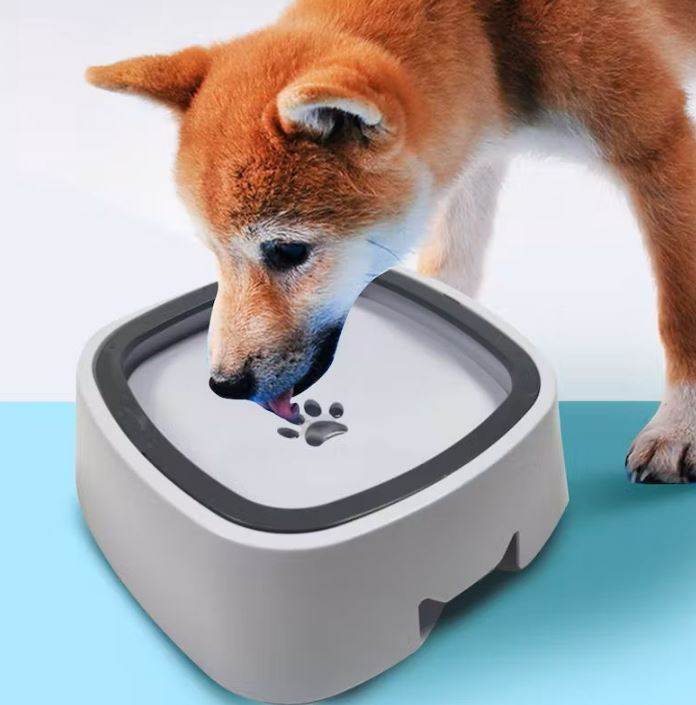 splash free pet water bowl splash free pet water bowl