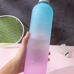 Ombre Water Bottle (1L)